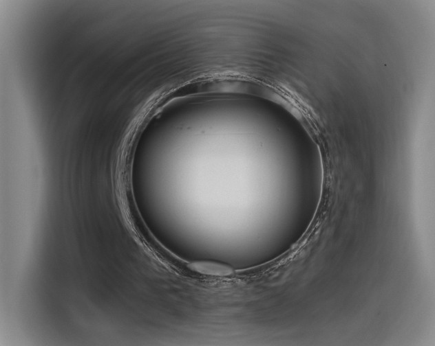 X0000115520193200911061424