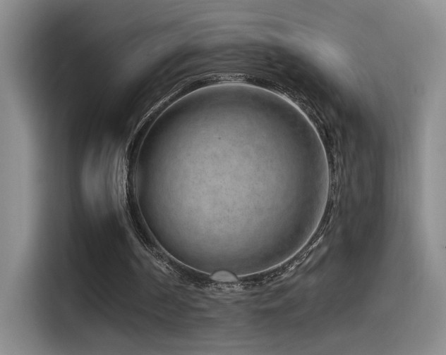 X0000115520194200911061424