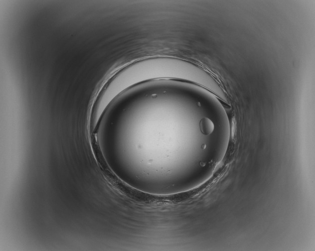 X0000115520195200911061424