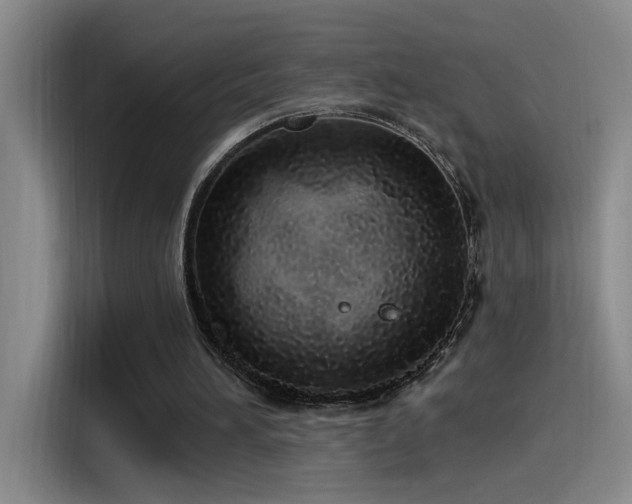 X0000115520196200911061424