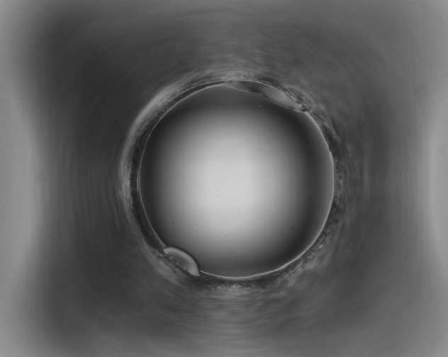 X0000115520197200911061424