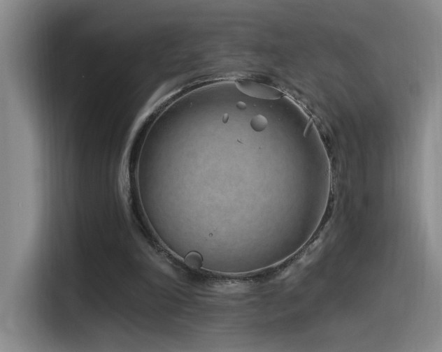 X0000115520198200911061424