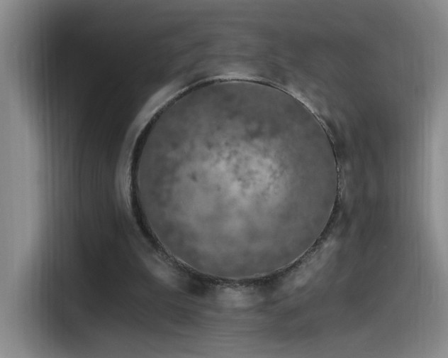 X0000115520199200911061424