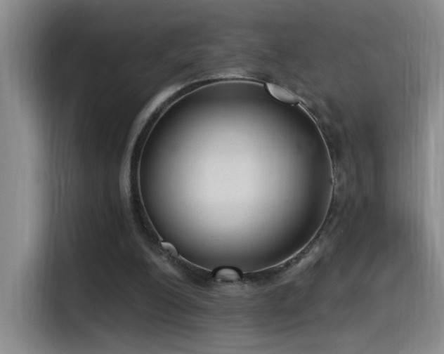 X0000115520200200911061424