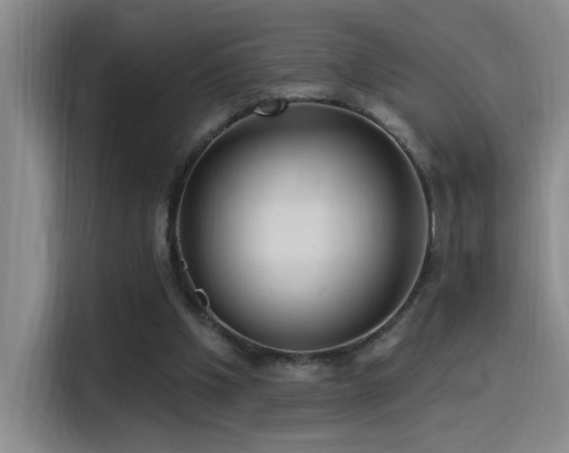 X0000115520201200911061424