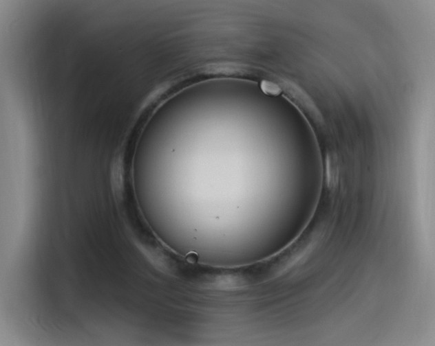 X0000115520204200911061424