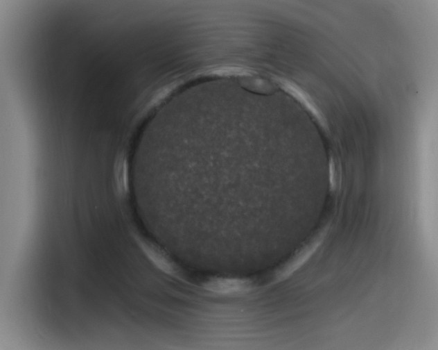 X0000115520205200911061424