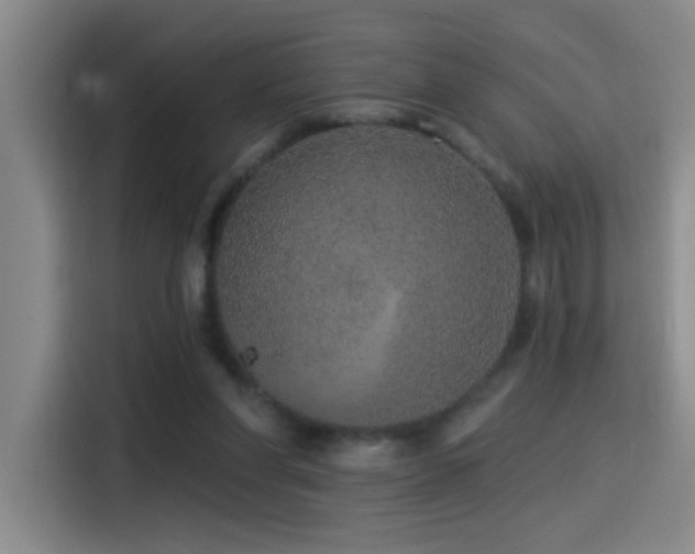 X0000115520206200911061424