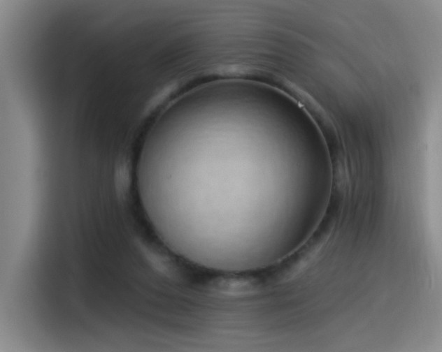 X0000115520208200911061424