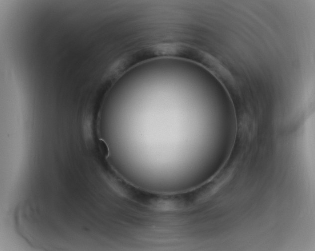 X0000115520209200911061424