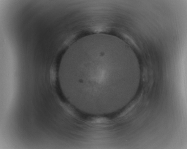 X0000115520210200911061424
