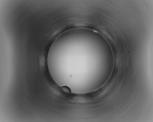 X0000115520211200911061424