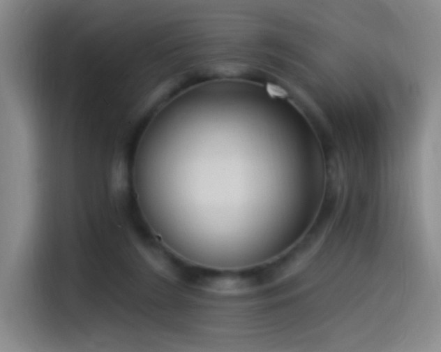 X0000115520212200911061424
