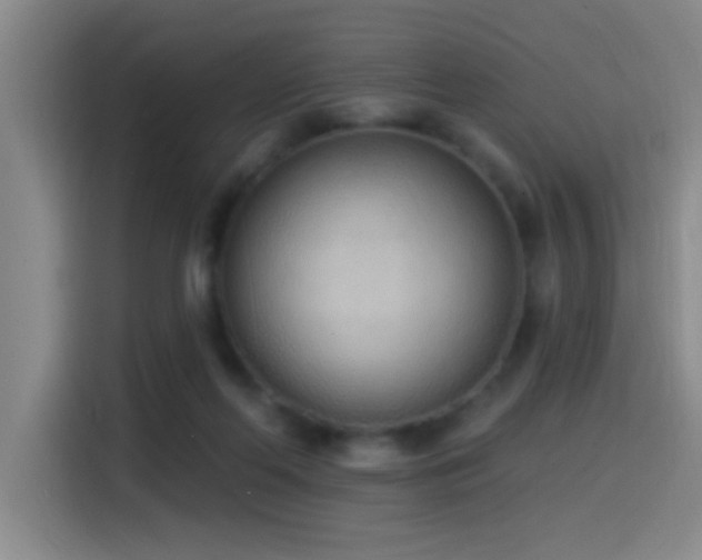 X0000115520214200911061424