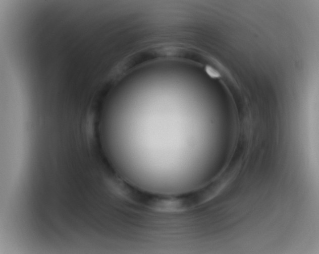 X0000115520217200911061424