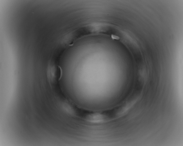 X0000115520219200911061424