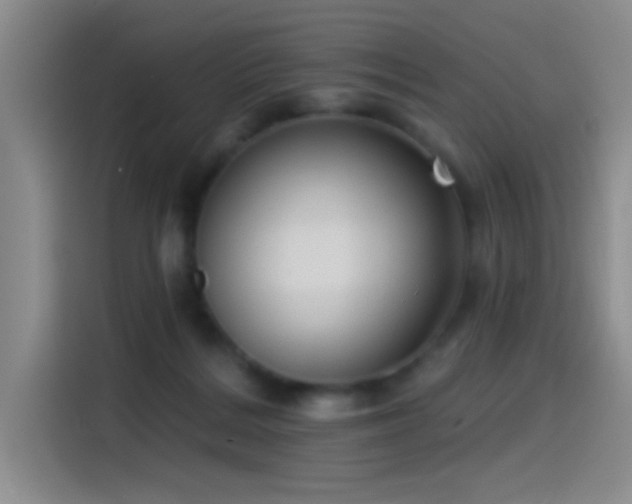 X0000115520220200911061424