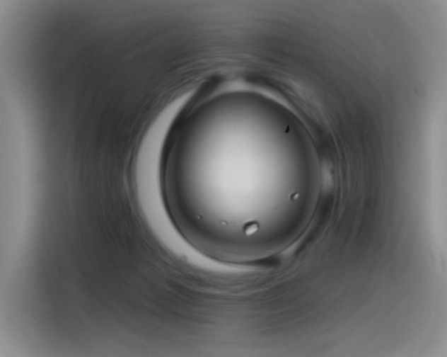 X0000115520221200911061424