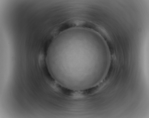 X0000115520222200911061424