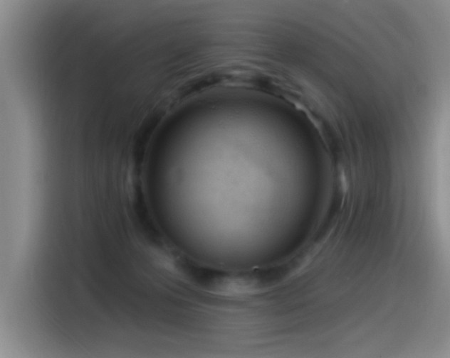 X0000115520223200911061424