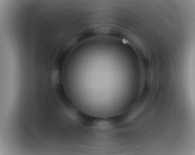 X0000115520224200911061424