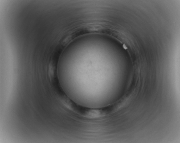 X0000115520227200911061424