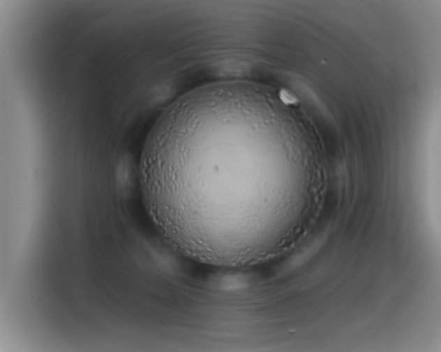 X0000115520228200911061424