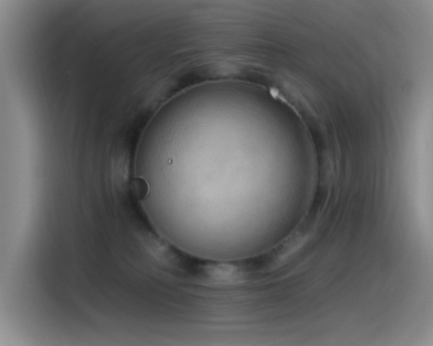 X0000115520230200911061423