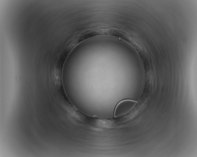 X0000115520234200911061423