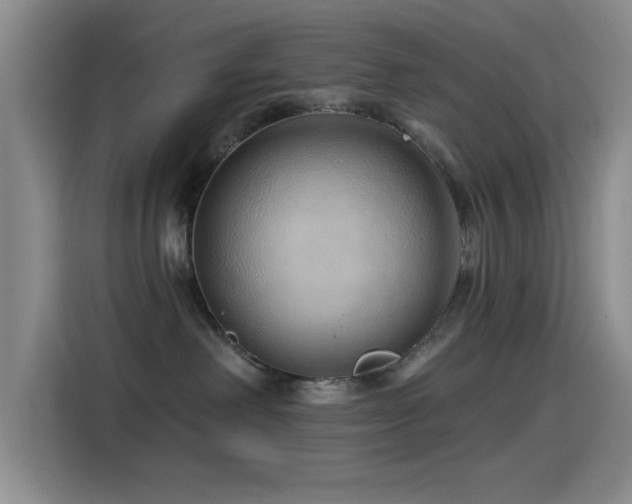 X0000115520238200911061423