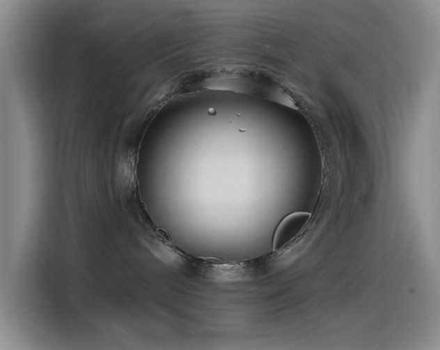 X0000115520240200911061423