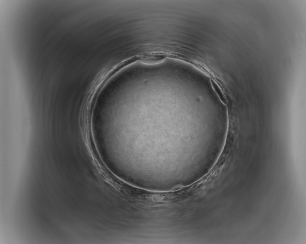 X0000115520241200911061423