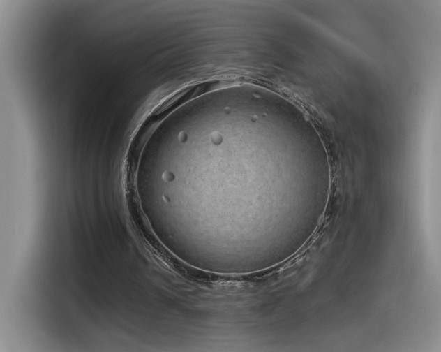 X0000115520242200911061423