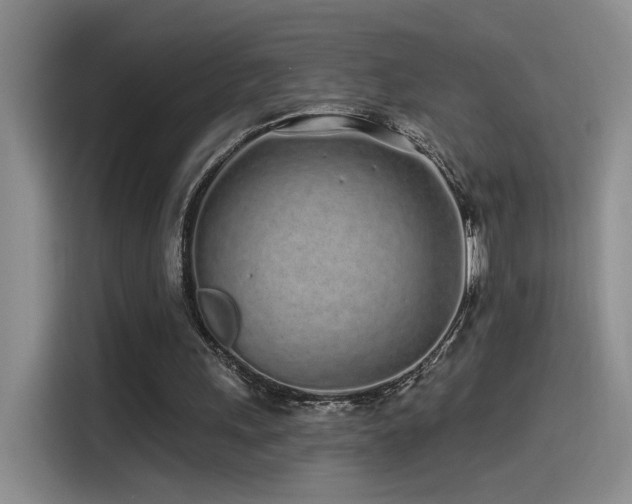 X0000115520243200911061423