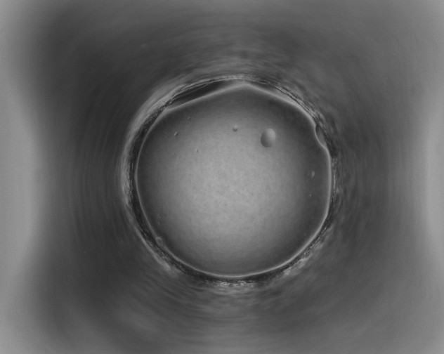 X0000115520245200911061423