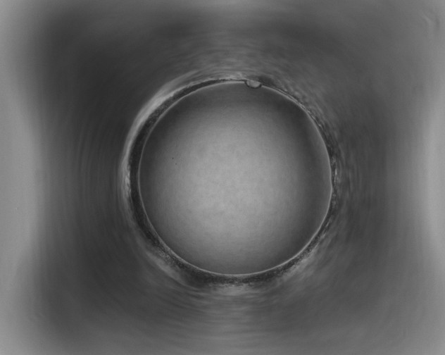 X0000115520246200911061423