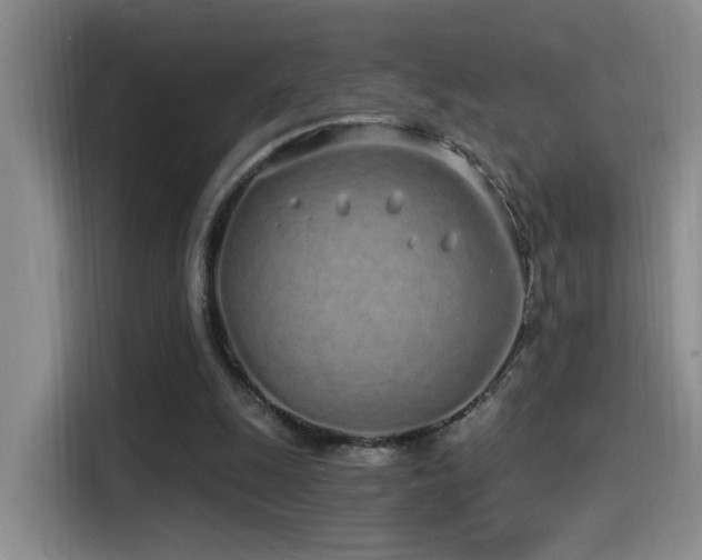 X0000115520247200911061423