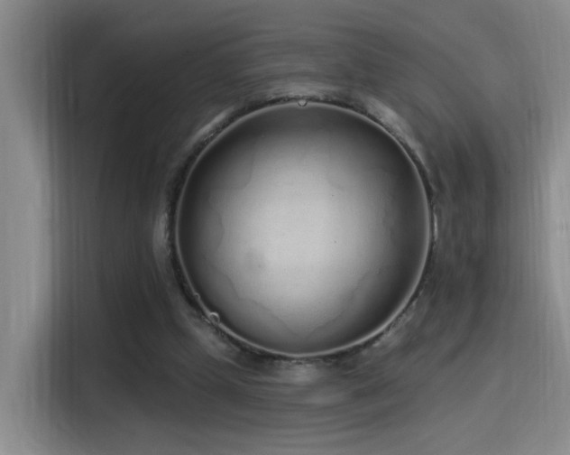 X0000115520249200911061423