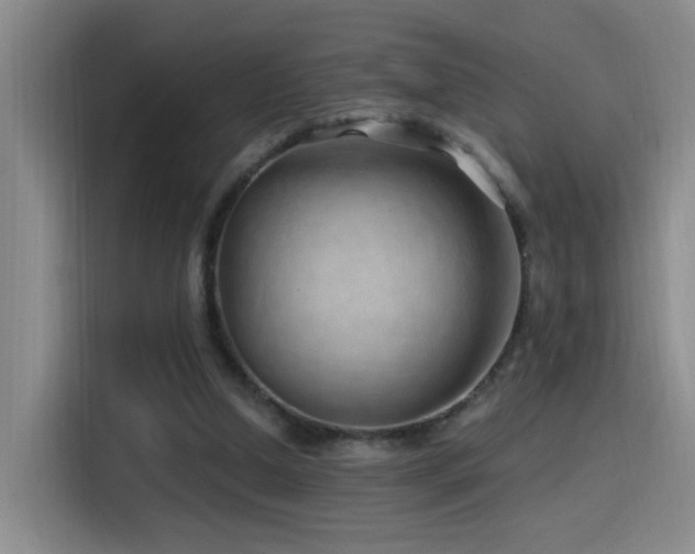 X0000115520250200911061423