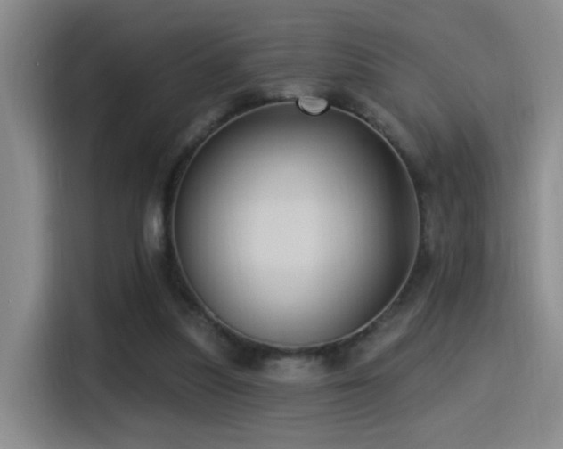 X0000115520251200911061423