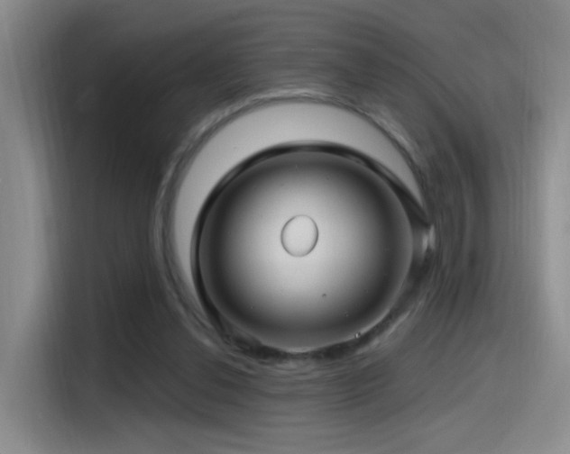 X0000115520252200911061423