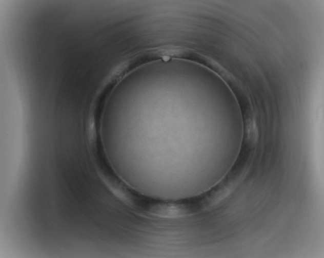 X0000115520254200911061423