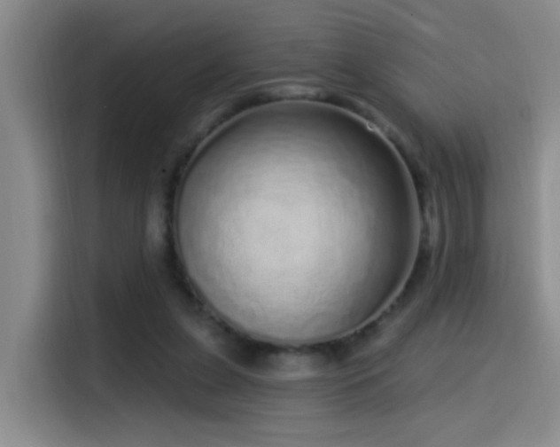 X0000115520255200911061423
