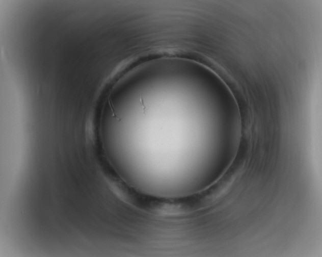X0000115520256200911061423
