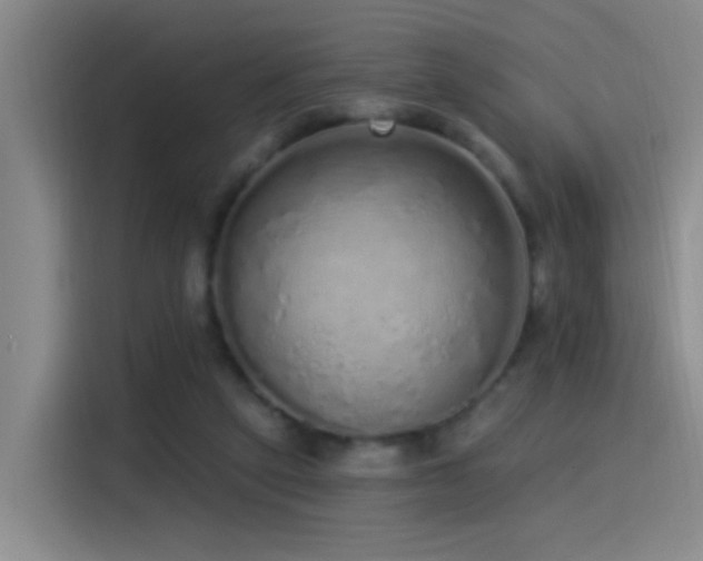 X0000115520257200911061423