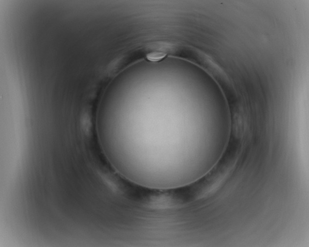 X0000115520259200911061423