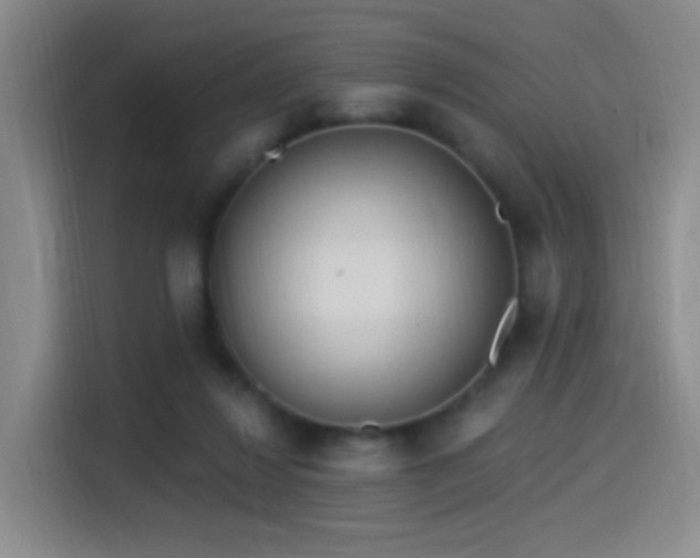 X0000115520260200911061423