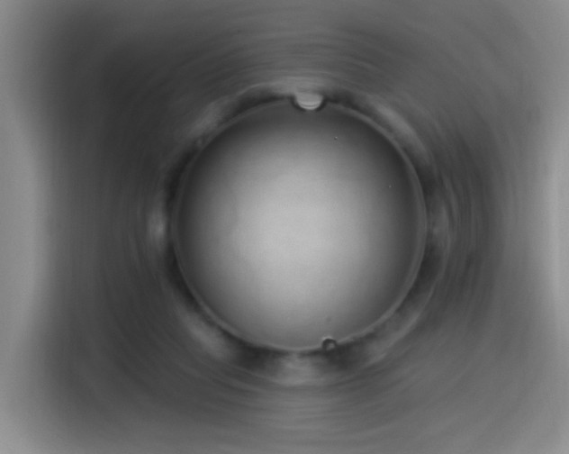 X0000115520261200911061423