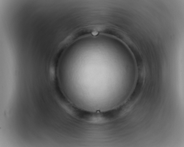 X0000115520262200911061423
