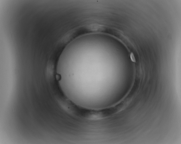 X0000115520263200911061423